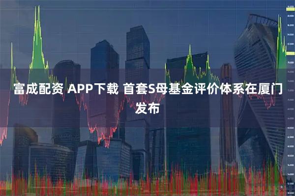 富成配资 APP下载 首套S母基金评价体系在厦门发布