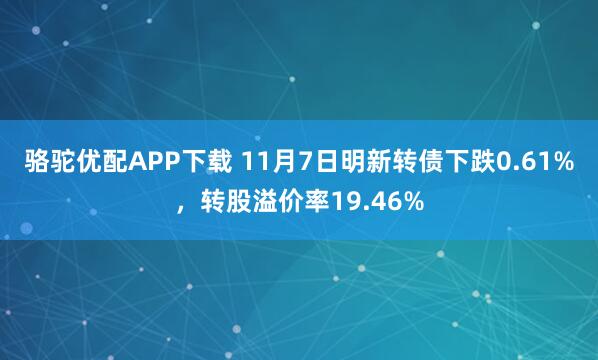 骆驼优配APP下载 11月7日明新转债下跌0.61%，转股溢价率19.46%
