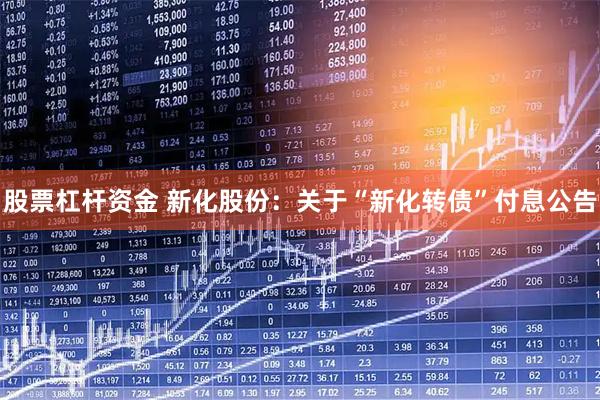 股票杠杆资金 新化股份：关于“新化转债”付息公告