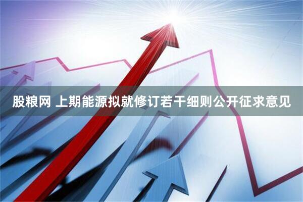 股粮网 上期能源拟就修订若干细则公开征求意见